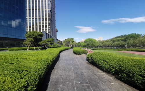 香港写字楼市场租金全线下跌;资本价值持续下降